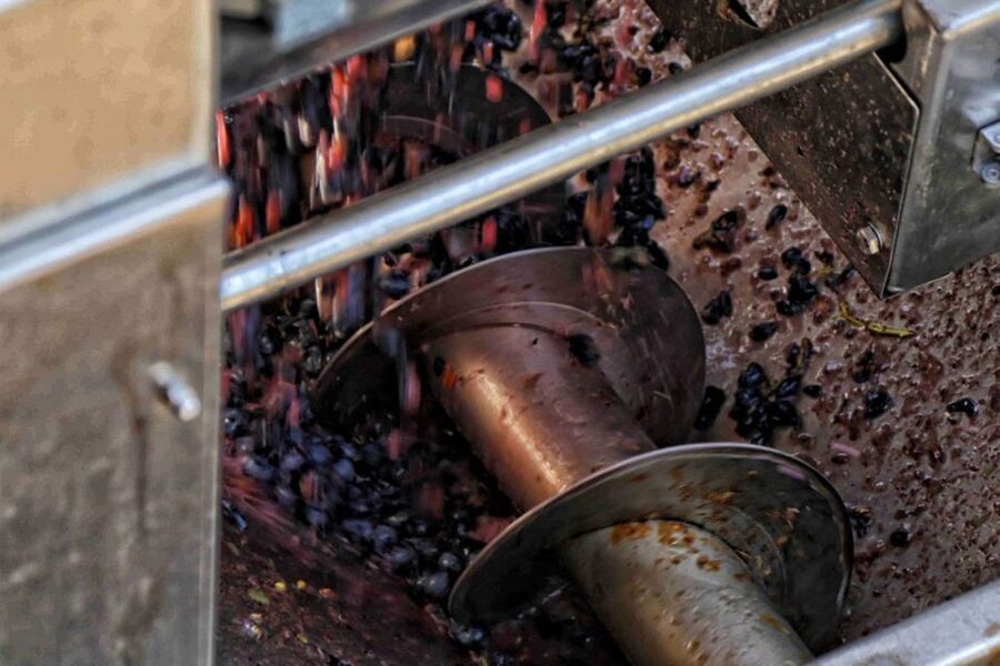 From Sorrento: Winery Tour, Tasting & Lunch - A Short Vineyard Tour on Mount Vesuvius