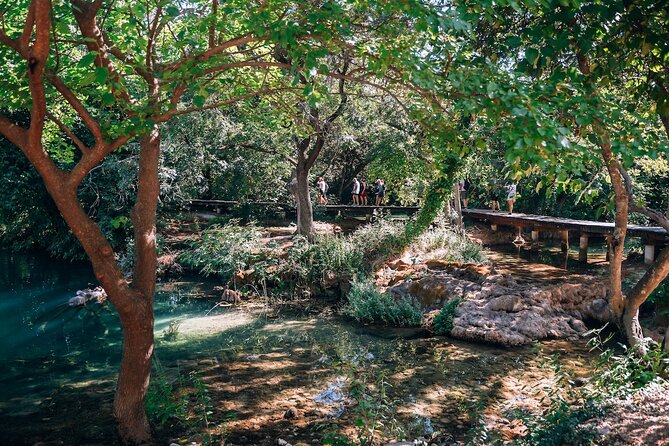From Split: Krka Waterfalls, Food & Wine Tasting Tour - Wine, cheese, olive oil, and spirits in Plastovo