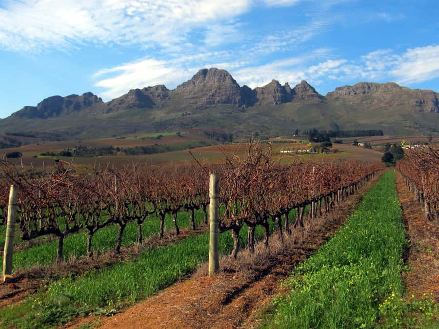 From Stellenbosch: Hop-On Hop-Off Wine Tour Southern Route - A self-guided wine day south of Stellenbosch