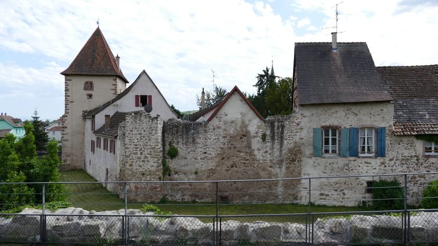 From Strasbourg: Medieval Villages & Wine Tasting Day Trip - What the transport is like