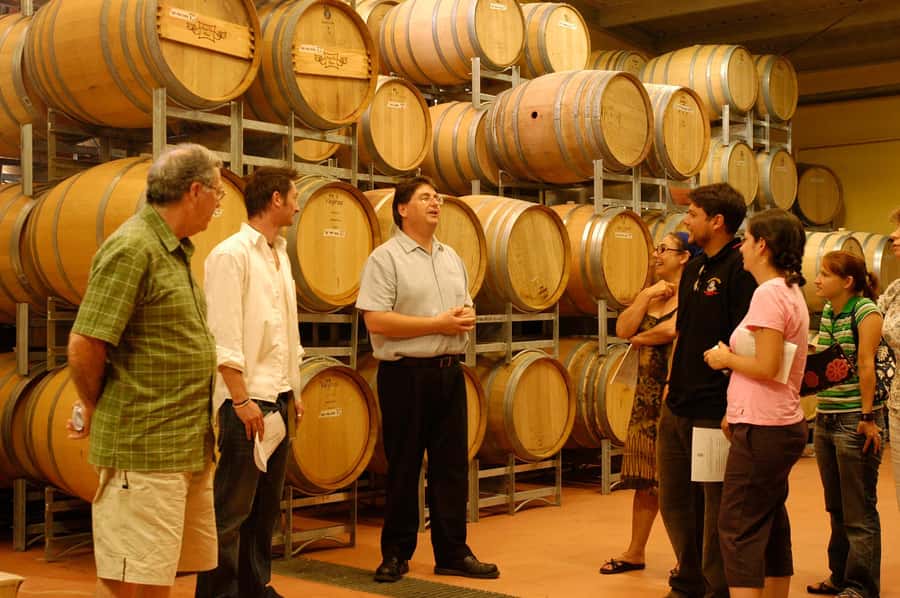 From Sydney: All Inclusive Boutique Hunter Valley Wine Tour - What the $166 price covers