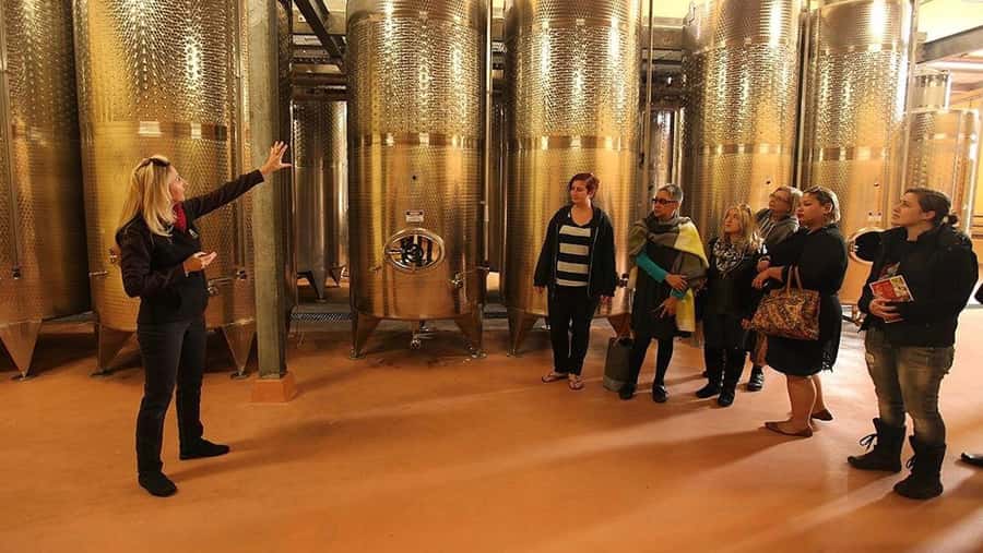 From Sydney: Award-Winning Hunter Valley Wine & Cheese Tour - First winery visits and the Hunter Valley pace