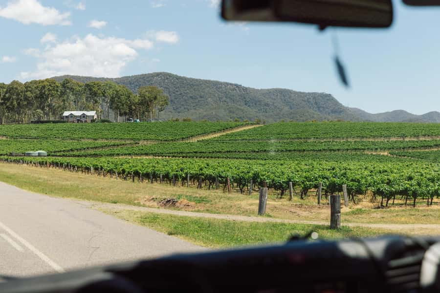From Sydney: Full-Day Hunter Valley Wine Tour & Lunch - The long road from Sydney to Hunter Valley