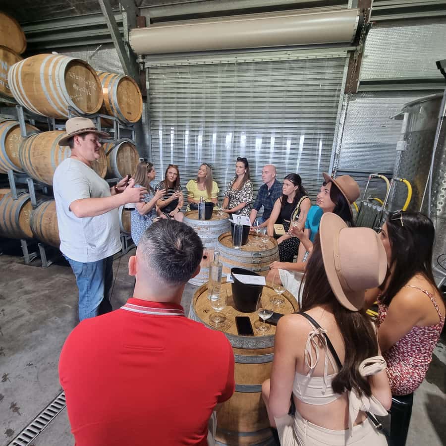 From Sydney: Hunter Valley Wine, Gin & Food Tastings Tour - Key points at a glance