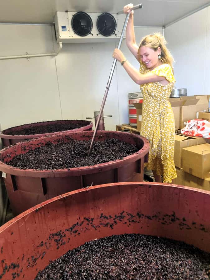 From Sydney: Hunter Valley Wine, Gin & Food Tastings Tour - Why this makes a good Sydney day trip