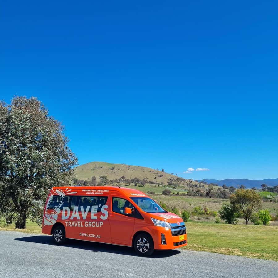 From Sydney: Hunter Valley Wine, Gin & Food Tastings Tour - Cheese, chocolate, and the best tasting combinations