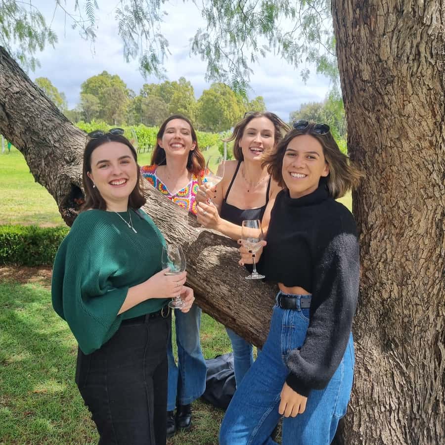 From Sydney: Hunter Valley Wine, Gin & Food Tastings Tour - The drive north from central Sydney