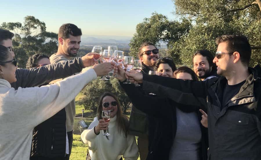 From Sydney: Hunter Valley Wine Tasting & Winery Picnic Tour - Key points to know before booking