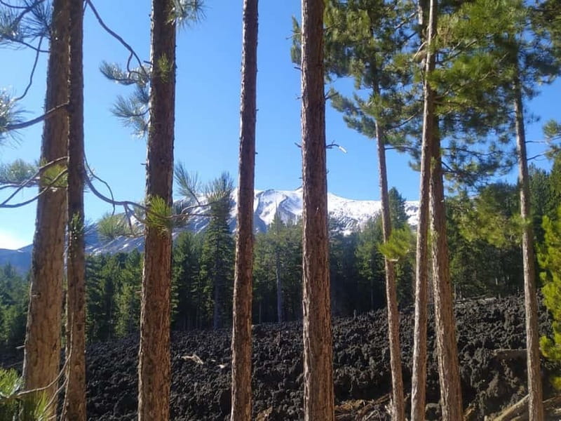 From Taormina: Etna Walking Tour and Wine Tasting in Winery - From Taormina to Etna at 2,000 meters