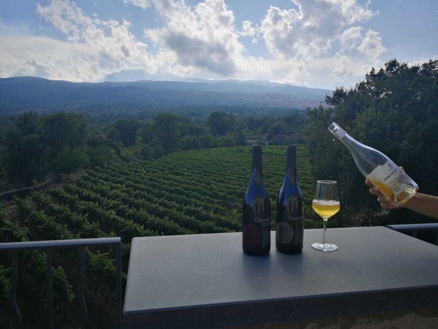 From Taormina: Etna Wineries Small Group Tour - Key points to know before booking