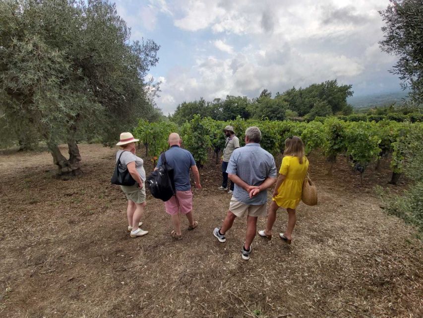 From Taormina: Etna Wineries Small Group Tour - The first winery: vines, local products, and tasting time