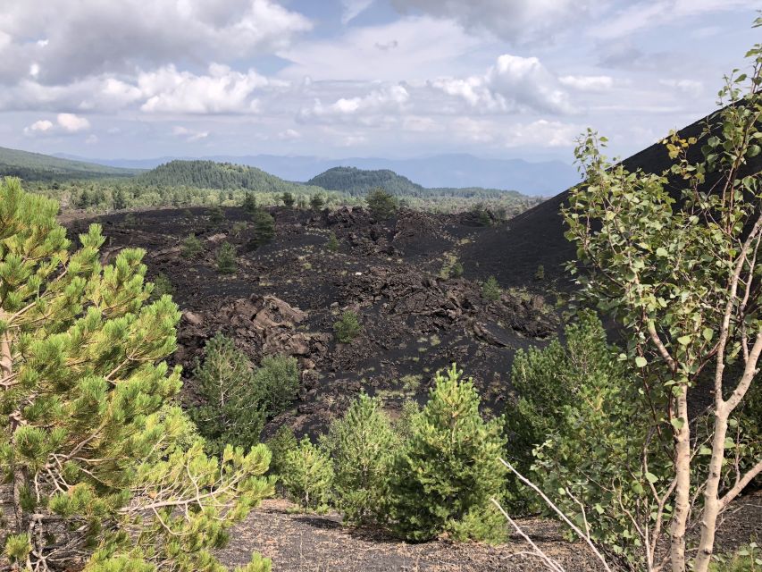 From Taormina: Full-Day Etna, Wine & Alcantara Canyons Tour - Lunch, wine, and the Etna table
