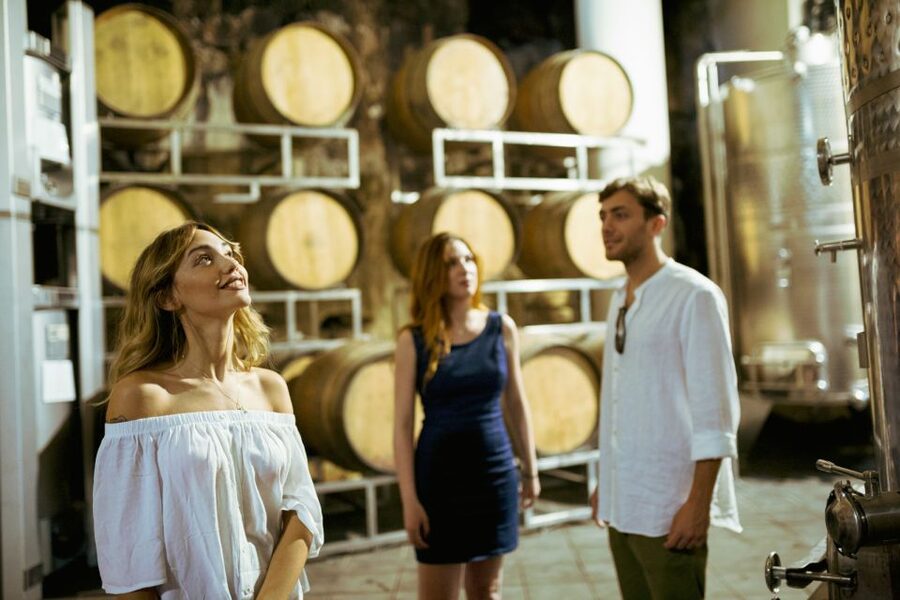 From Taormina: Mount Etna Food and Wine Tasting Tour - What this tour does not include