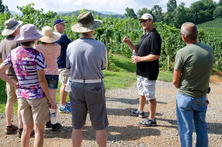 From Taormina: Private 3 Etna Wineries with Food & Wine - Why Etna wine feels different