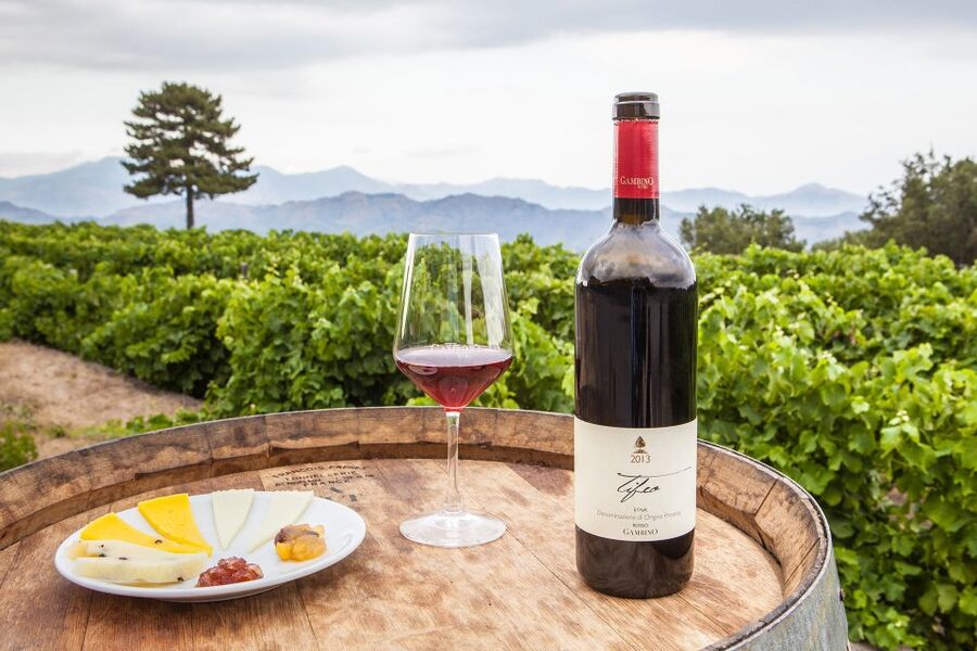 From Taormina: Private 3 Etna Wineries with Food & Wine - Stop one: a small producer and Etna DOC wines