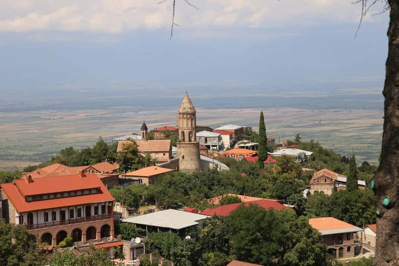 From Tbilisi: Kakheti & Sighnaghi Guided Day Trip with Wine - Who should book this Kakheti outing
