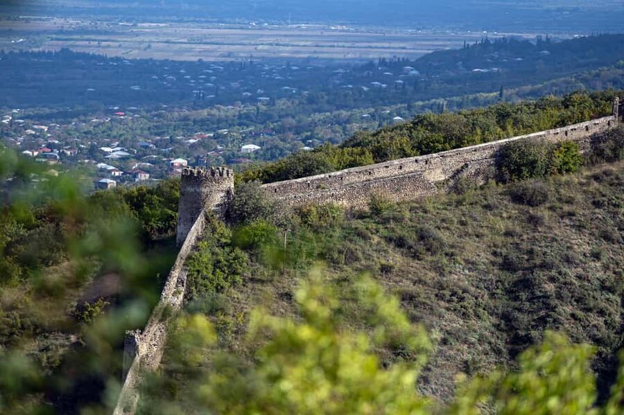 From Tbilisi: Kakheti Wine Region Tour with 9 Wine Tasting - What the $15 price really covers