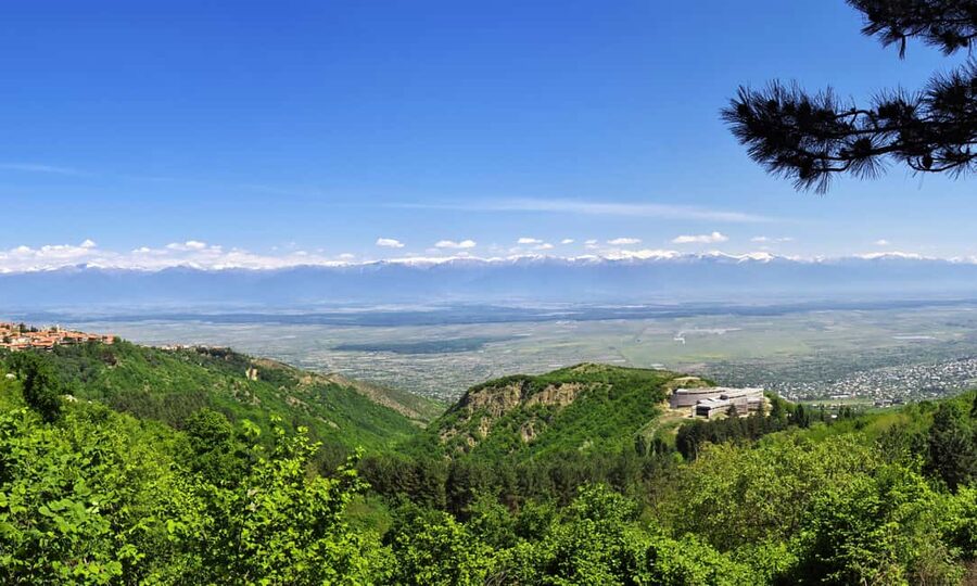 From Tbilisi: Kakheti Wine Region Tour with 9 Wine Tasting - Who should book this tour