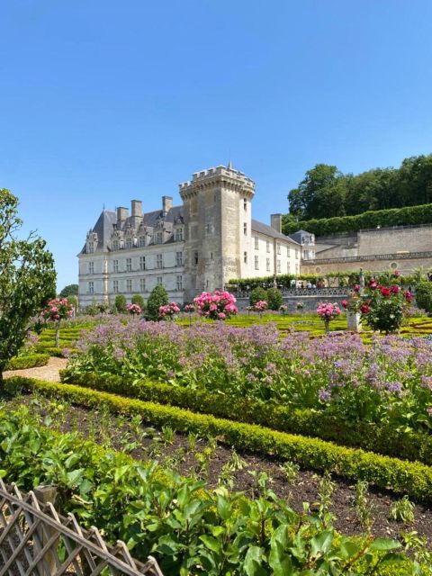 From Tours: Afternoon Loire Valley Wine Tour - Key points at a glance