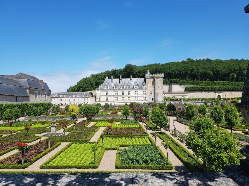 From Tours: Afternoon Loire Valley Wine Tour - Practical preparation for the afternoon