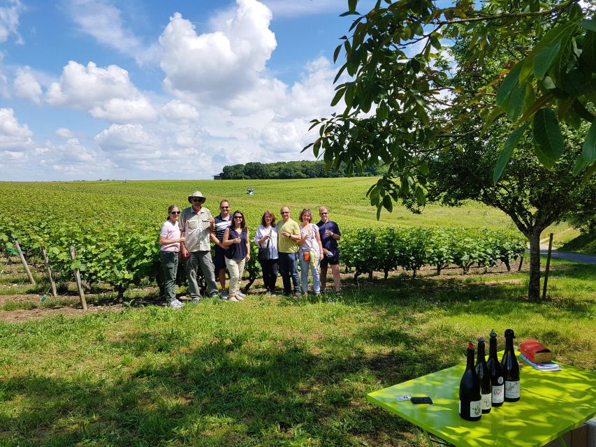 From Tours: Afternoon Loire Valley Wine Tour - Leaving Tours at 2:30 PM