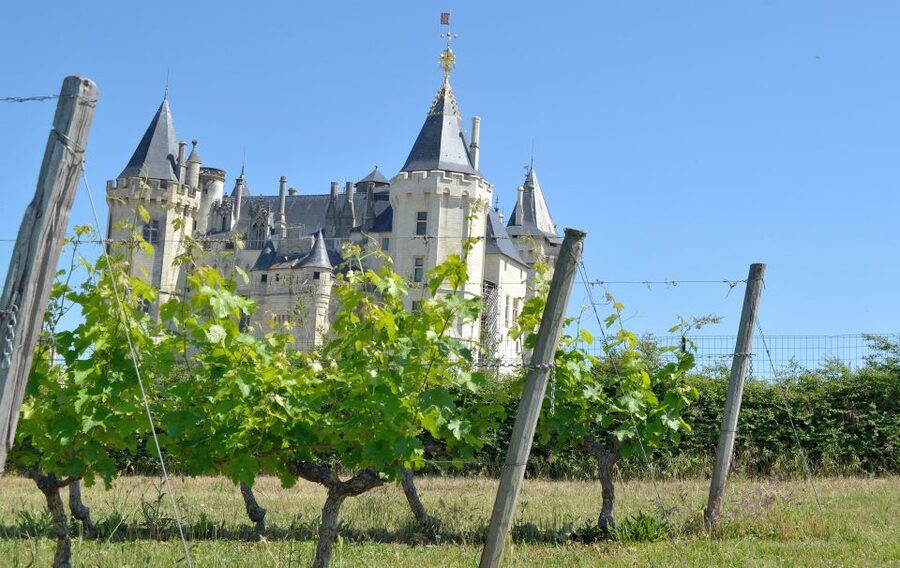 From Tours: Loire Valley Wineries Day Trip with Tastings - Key points at a glance