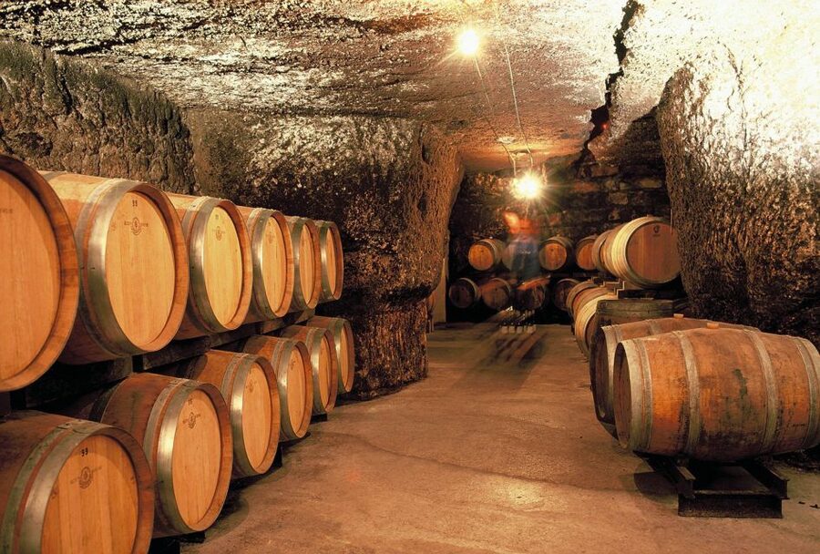 From Tours: Loire Valley Wineries Day Trip with Tastings - Why this Loire Valley day trip works