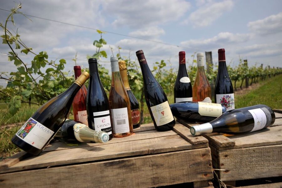 From Tours: Loire Valley Wineries Day Trip with Tastings - Chinon for Renaissance streets and lunch