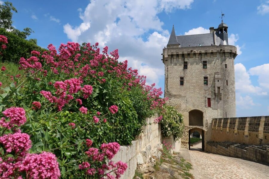 From Tours: Loire Valley Wineries Day Trip with Tastings - Bourgueil and the second winery comparison
