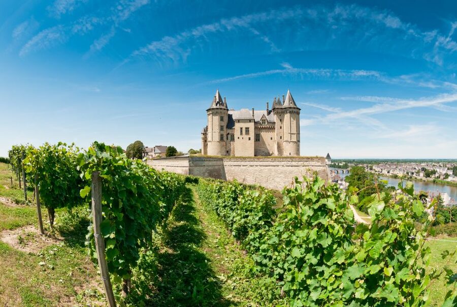 From Tours: Loire Valley Wineries Day Trip with Tastings - Is $182 good value?