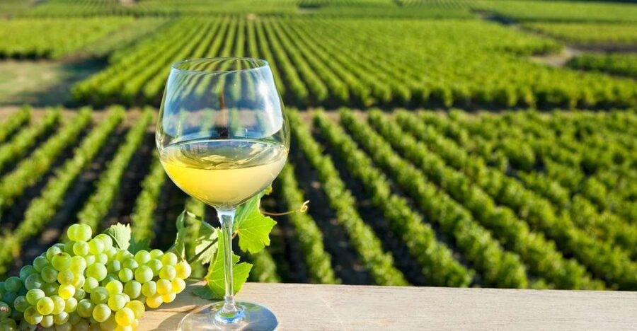From Tours: Loire Valley Wineries Day Trip with Tastings - Who should book this experience?