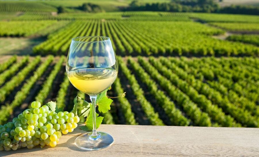 From Tours: Loire Valley Wineries Day Trip with Tastings - The 50-minute ride into wine country