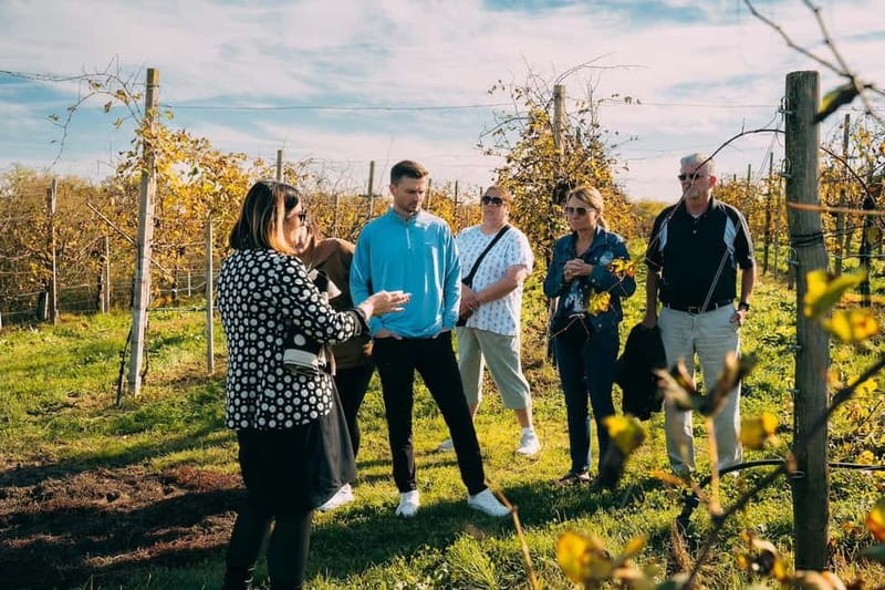 From Venice: Prosecco Hills and Wine Tasting Tour - A second look at Conegliano and wine production