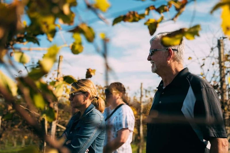 From Venice: Prosecco Hills and Wine Tasting Tour - Transport, timing, and the six-hour schedule