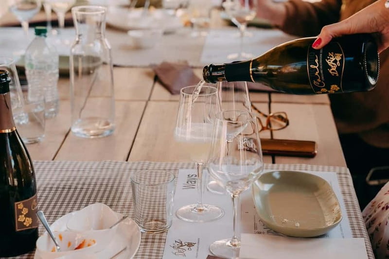 From Venice: Prosecco Hills and Wine Tasting Tour - Who will enjoy this most