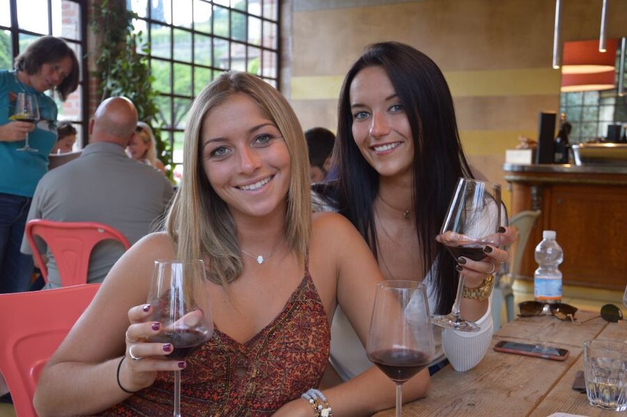 From Verona: Amarone Half-Day Wine Tasting Tour - What the $106 price gets you