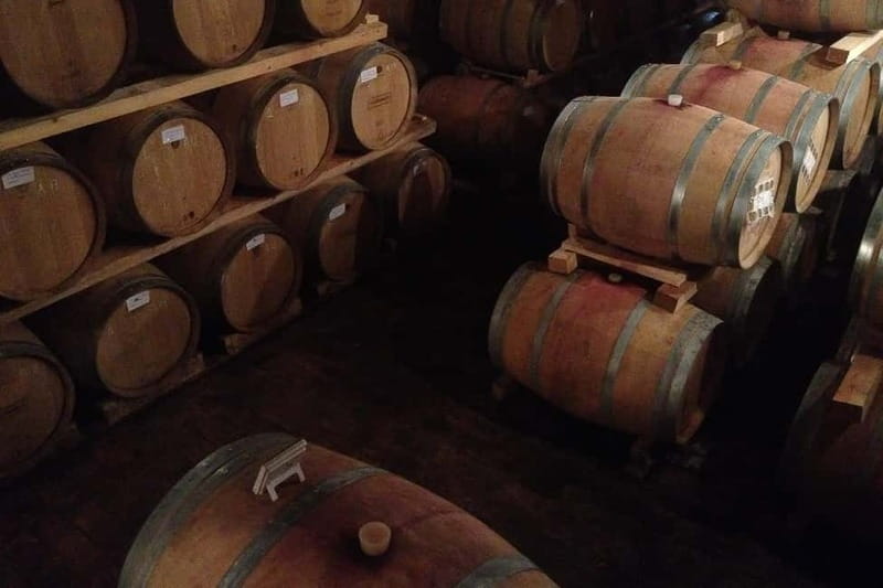 From Verona: Amarone Wine E-Bike Tour with Tasting - From Verona streets to Valpolicella vineyards