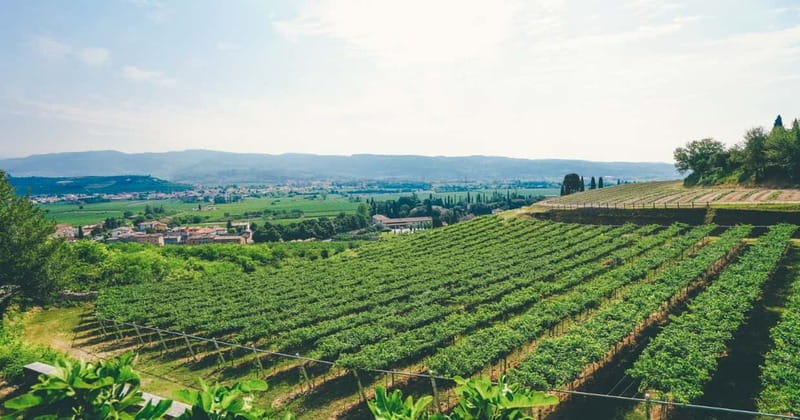 From Verona: Amarone Wine E-Bike Tour with Tasting - Is four hours enough for the experience?