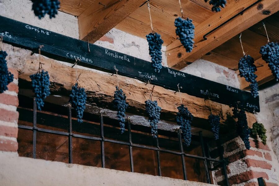 From Verona: Valpolicella and Amarone Wine Tasting Tour - The short transfer and a second point of view
