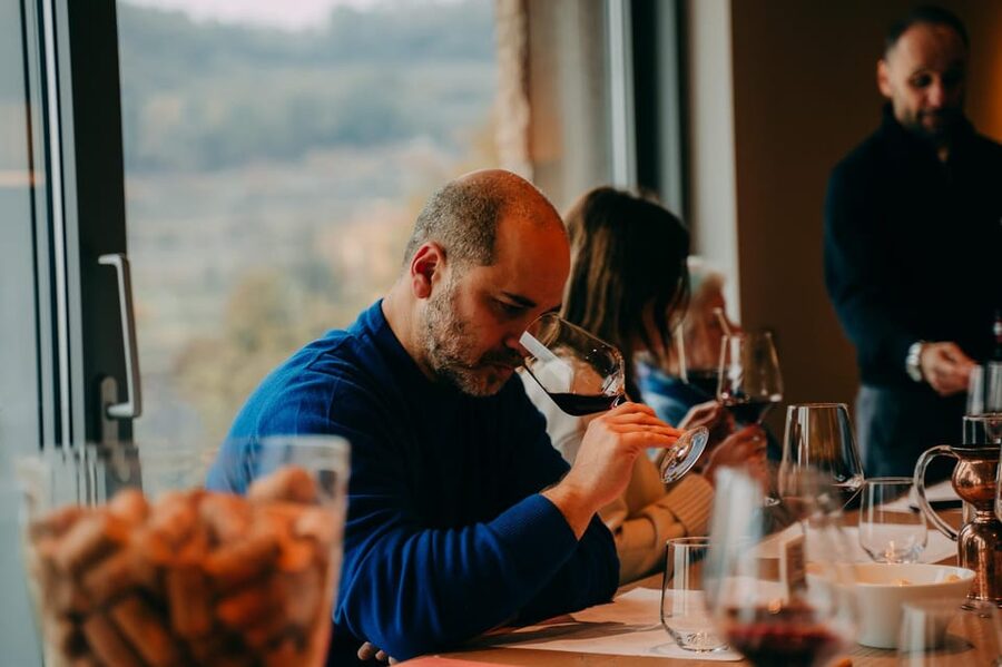 From Verona: Valpolicella and Amarone Wine Tasting Tour - What you learn about Amarone and Ripasso