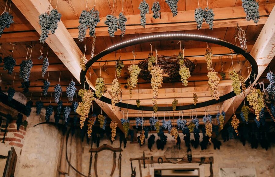 From Verona: Valpolicella and Amarone Wine Tasting Tour - Price and value at $112.15