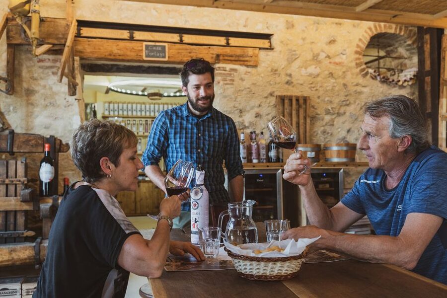 From Verona: Valpolicella Winery Tour with Amarone Vintages - The old icehouse and the Amarone collection