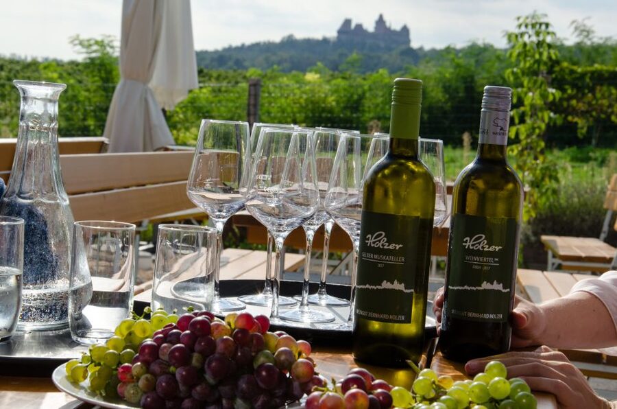 From Vienna: Half-day Countryside Wine Tour with Meal - Key points at a glance