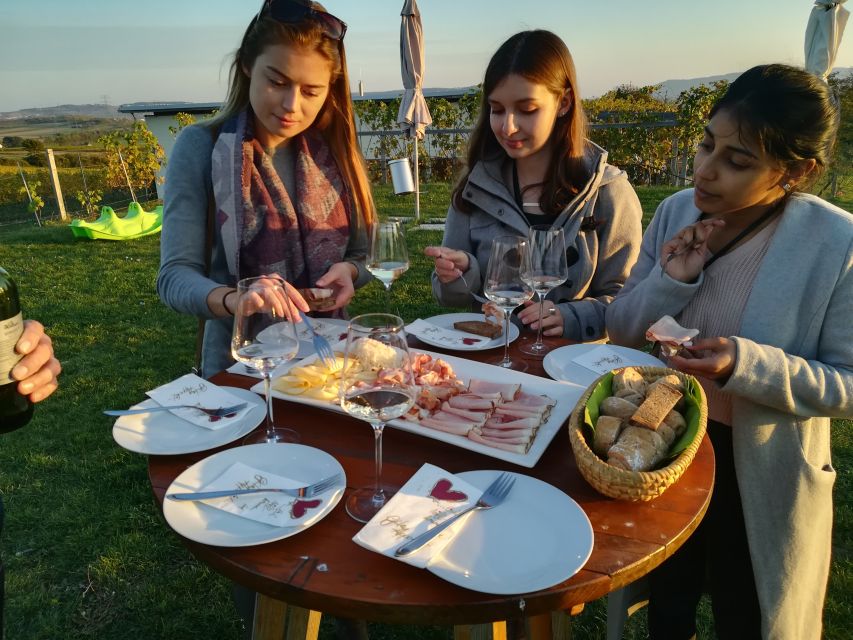 From Vienna: Half-day Countryside Wine Tour with Meal - The third winery option and the final meal