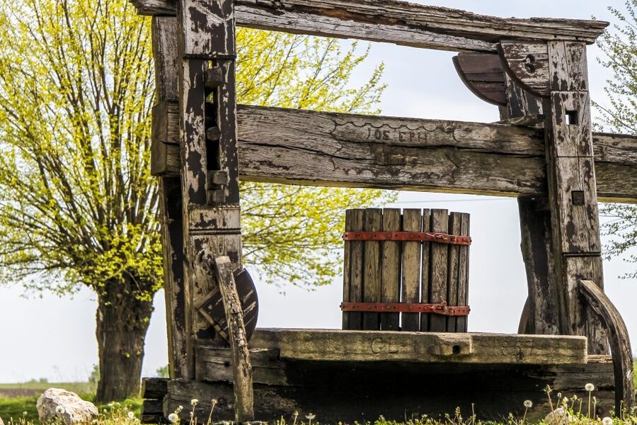 From Vienna: Half-day Countryside Wine Tour with Meal - Why the guide can make or break the outing