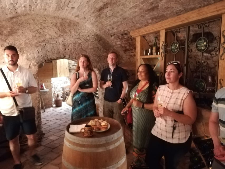 From Vienna: Half-day Countryside Wine Tour with Meal - Who will enjoy this wine tour most