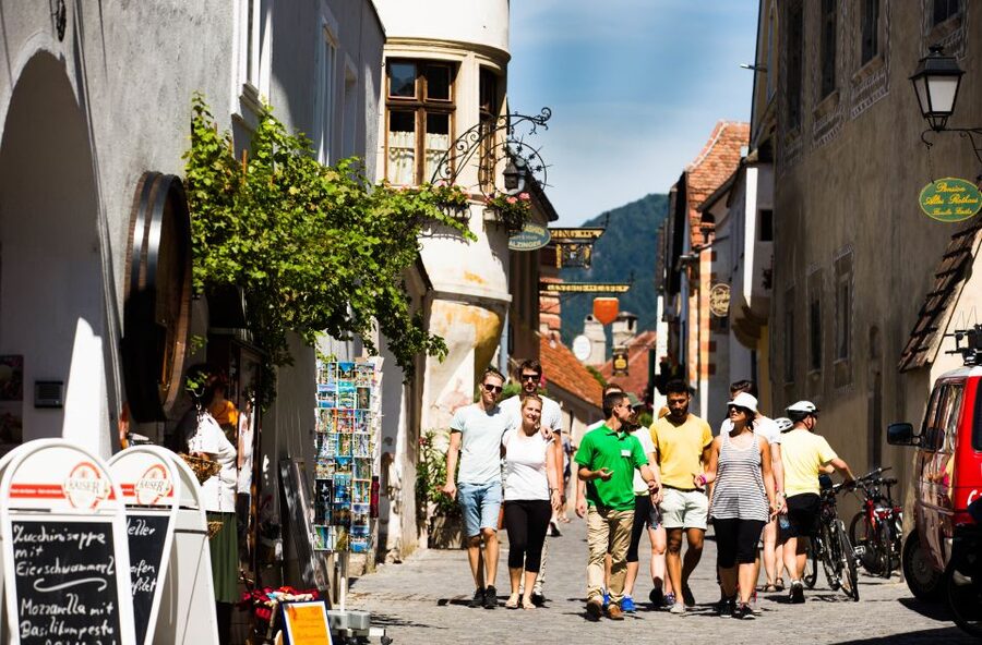 From Vienna: Wachau Valley Day Tour with Wine Tasting - Wine tasting at family-run Austrian wineries