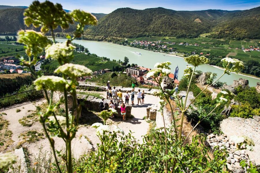 From Vienna: Wachau Valley Day Tour with Wine Tasting - How the day feels from start to finish