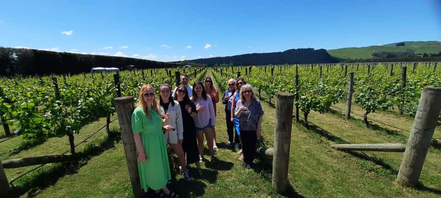 From Wellington: Martinborough Winery Tour - How the 5.5-hour schedule feels