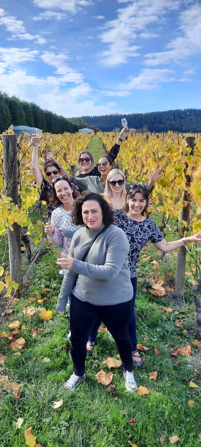From Wellington: Martinborough Winery Tour - Arriving in Martinborough and choosing the wineries